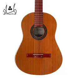 خرید و قیمت گیتار کلاسیک طرح فندر A20 طرح 1 خرید قسطی با بهترین کیفیت - دلشاد موزیک