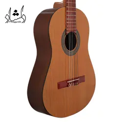 خرید و قیمت گیتار کلاسیک طرح فندر A20 طرح 1 خرید قسطی با بهترین کیفیت - دلشاد موزیک