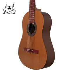 خرید و قیمت گیتار کلاسیک طرح فندر A20 طرح 1 خرید قسطی با بهترین کیفیت - دلشاد موزیک