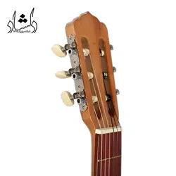 خرید و قیمت گیتار کلاسیک طرح فندر A20 طرح 1 خرید قسطی با بهترین کیفیت - دلشاد موزیک