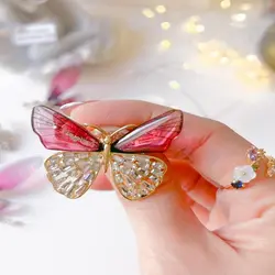 گلسینه کریستالی پروانه و‌سنجاقک