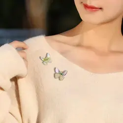 گلسینه کریستالی پروانه و‌سنجاقک