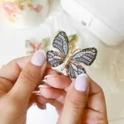 گلسینه پروانه نگین رنگی