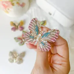 گلسینه پروانه نگین رنگی