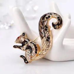 گلسینه سنجاب