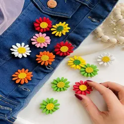 گلسینه بابونه رنگی