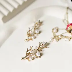 گلسینه درخت مروارید