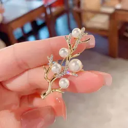 گلسینه درخت مروارید