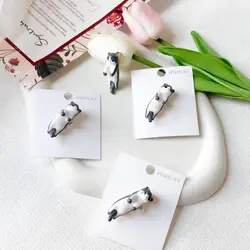 گلسینه گربه