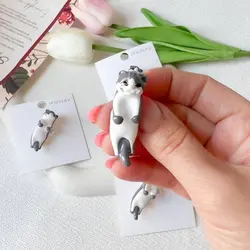 گلسینه گربه