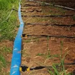 لی فلت (lay flat)