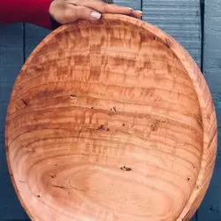 ظرف پذیرایی اکالیپتوس کد 862