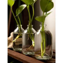 بطری ویال شیشه ای حجم 100 سی سی