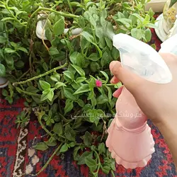 آب پاش پلاستیکی مدل عروس