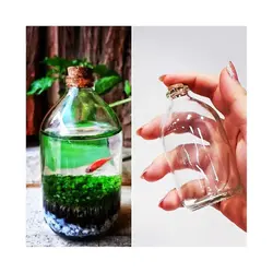 بطری ویال شیشه ای حجم 100 سی سی