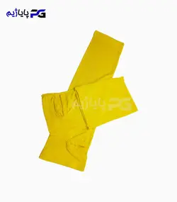 ساق دست انگشتی | پایاژیم