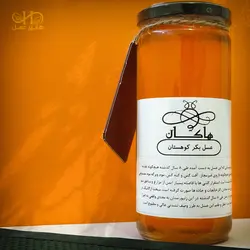 عسل بکر کوهستان - درج آنالیز آزمایشگاهی روی بسته - با کارت ضمانت - 600 گرم