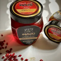 عسل زرشک - 500 گرم