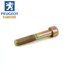 پیچ آلن استارت کوتاه پژو 405