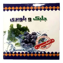 پودر لاغری جلبک و بلوبری