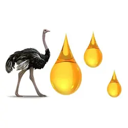 روغن شترمرغ