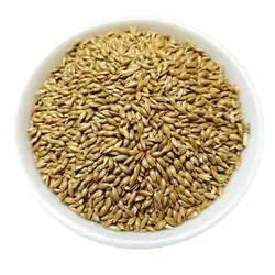 تخم کتان پرنده