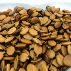 تخمه تر متوسط