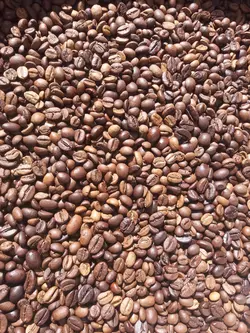 دانه میکس قهوه (70% ربوستا، 30% عربیکا) 500 گرمی
