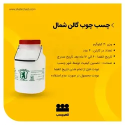 چسب چوب 4 کیلویی شمال