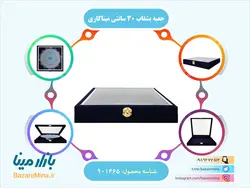 جعبه بشقاب 30 سانتی میناکاری