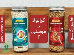 تفاوت بین موسلی و گرانولا چیست؟ - هایپر ارگانو