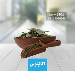 برگ اکالیپتوس 200 گرم
