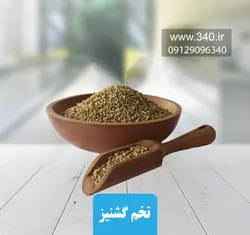 تخم گشنیز 100 گرمی