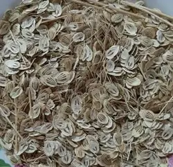 گلپر درشت مقدار 50 گرم