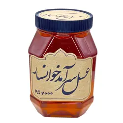 عسل طبیعی چند گیاه سرآمد (پت، 2 کیلوگرم)