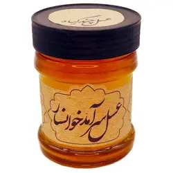 عسل طبیعی چند گیاه سرآمد (پت، 400 گرم)