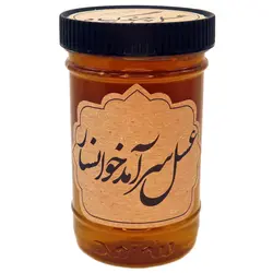 عسل طبیعی چند گیاه سرآمد (پت، 900 گرم)