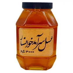 عسل طبیعی چندگیاه سرآمد (پت، 3 کیلوگرم)