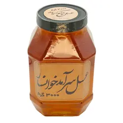 عسل طبیعی چندگیاه سرآمد (پت، 3 کیلوگرم)