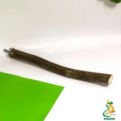 نشیمن تک شاخ