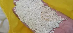 برنج عنبربو شوشتری