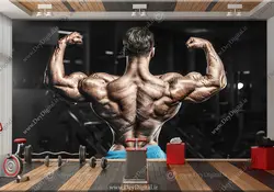 پوستر بدنسازی حرفه ای BA-7546 | چاپ دی : دکوراسیون داخلی آنلاین چاپی