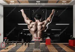 کاغذ دیواری باشگاه بدنسازی طرح بدنساز BA-7530 | چاپ دی : دکوراسیون داخلی آنلاین چاپی