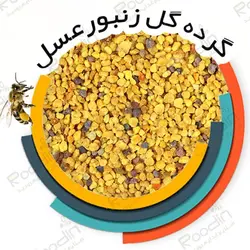 گرده گل خشک شده هفت رنگ ایرانی + قیمت دانه گرده گل زنبورعسل