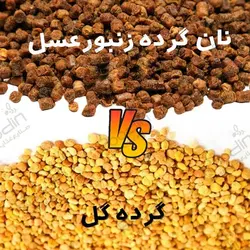 نان گرده گل | نان گرده زنبورعسل یا نان گرده عسل