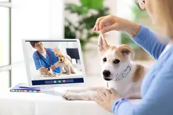 مشاوره آنلاین با دامپزشک