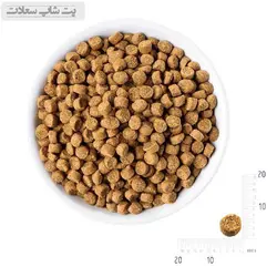غذای خشک گربه بالغ با طعم مرغ رفلکس پلاس Reflex Plus Adult Chicken وزن 1.5 کیلوگرم - پت شاپ سعادت