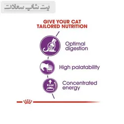 غذای خشک گربه بالغ با گوارش حساس رویال کنین Royal Canin Sensible Adult Cats وزن 2 کیلوگرم - پت شاپ سعادت