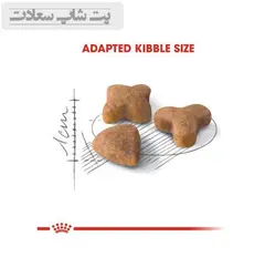 غذای خشک گربه بالغ با گوارش حساس رویال کنین Royal Canin Sensible Adult Cats وزن 2 کیلوگرم - پت شاپ سعادت