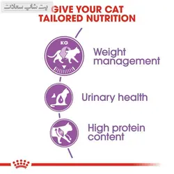 غذای خشک گربه عقیم شده رویال کنین Royal Canin Regular Sterilised وزن 2 کیلوگرم - پت شاپ سعادت
